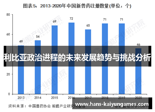 利比亚政治进程的未来发展趋势与挑战分析