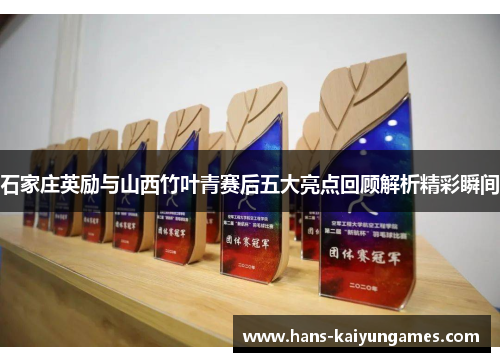 石家庄英励与山西竹叶青赛后五大亮点回顾解析精彩瞬间
