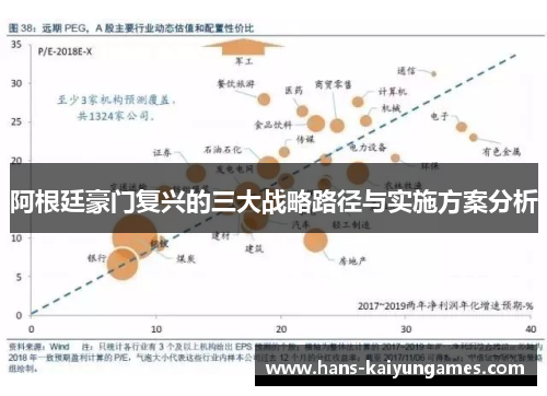阿根廷豪门复兴的三大战略路径与实施方案分析 阿根廷豪门复兴的三大战略路径与实施方案分析